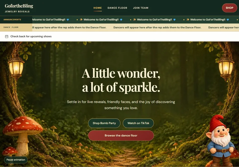 Recorded website header and complete hero from Go for the Bling